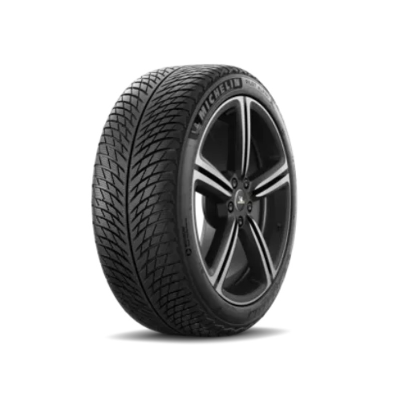 Michelin Pilot Alpin 5
