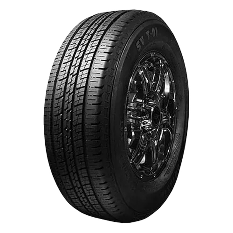 Advanta SVT01