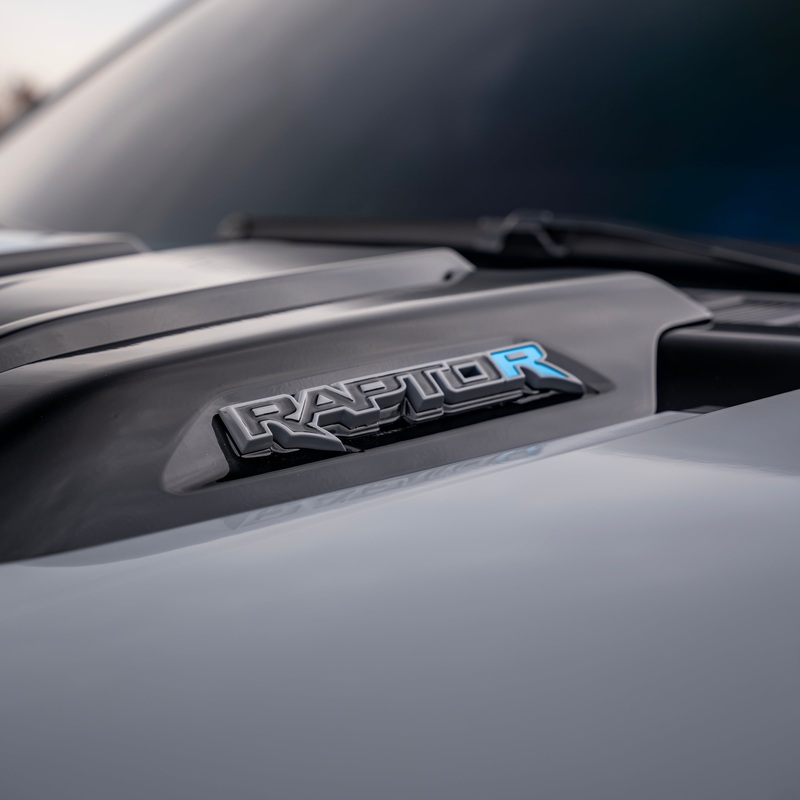 2021-2025 Ford F-150 Raptor Custom Painted Raptor Emblem Package