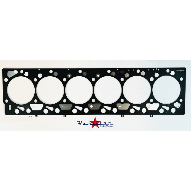 5.9 Fire Ring Gasket Standard