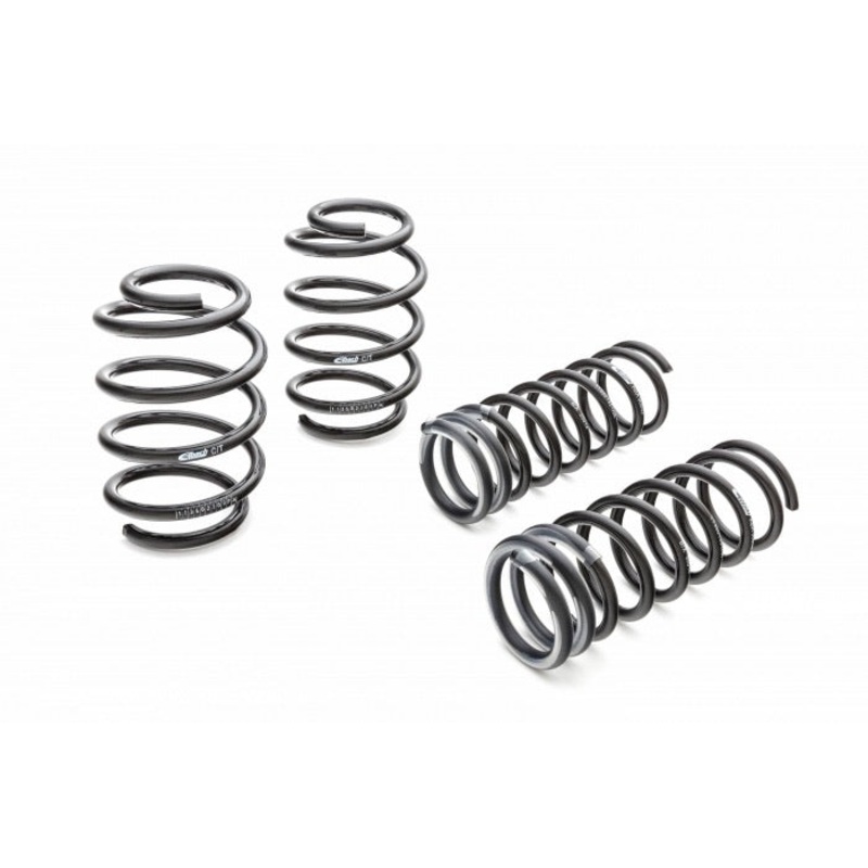 2015-2020 Dodge Charger Scat Eibach Pack Pro Kit