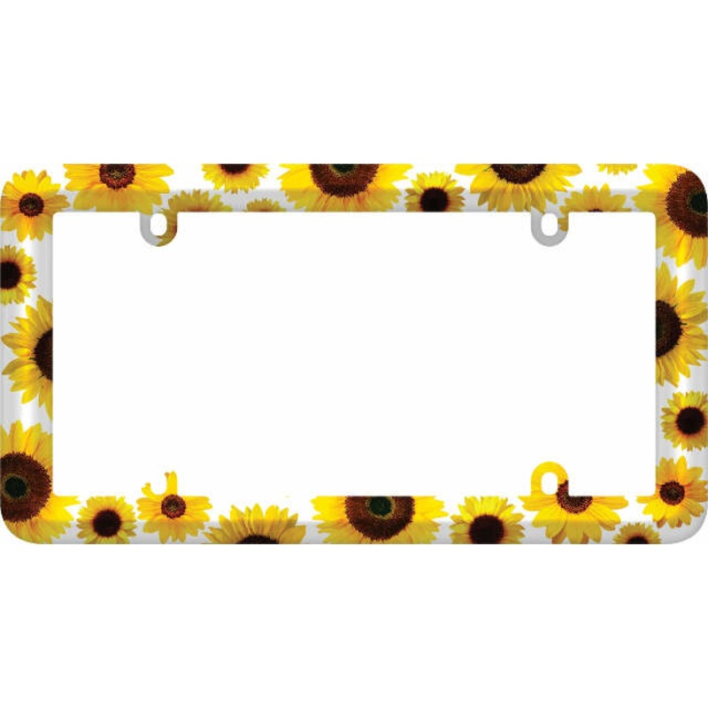 Cruiser Accessories 23804 License Plate Frames